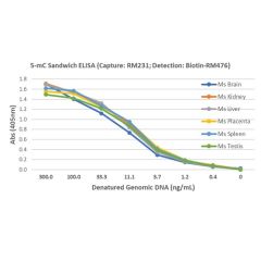 5-Methylcytosine (5-mC) DNA Matched Antibody Pair