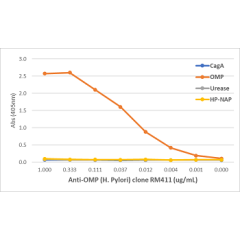 An ELISA of Helicobacter Pylori proteins using Anti-OMP Rabbit Monoclonal Antibody Clone RM410. The plate was coated with 1 ug/mL of CagA, OMP, Urease, or HP-NAP of H. Pylori. A serial dilution of RM410 was used as the primary antibody. An alkaline phosph