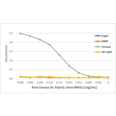 An ELISA of Helicobacter Pylori proteins using Anti-OMP Rabbit Monoclonal Antibody Clone RM411. The plate was coated with 1 ug/mL of CagA, OMP, Urease, or HP-NAP of H. Pylori. A serial dilution of RM411 was used as the primary antibody. An alkaline phosph