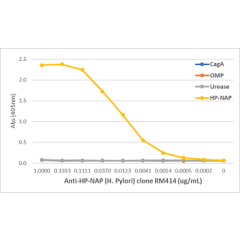 An ELISA of Helicobacter Pylori proteins using Anti-HP-NAP Rabbit Monoclonal Antibody Clone RM413. The plate was coated with 1 ug/mL of CagA, OMP, Urease, or HP-NAP of H. Pylori. A serial dilution of RM413 was used as the primary antibody. An alkaline pho