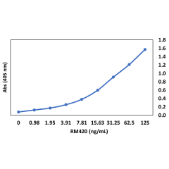 anti-SARS-CoV-2 Nucleocapsid, Rabbit Monoclonal (RM420)