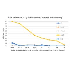 5-Carboxylcytosine (5-caC) DNA Matched Antibody Pair