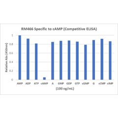 anti-cAMP, Rabbit Monoclonal (RM466)