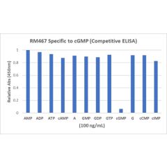 anti-cGMP, Rabbit Monoclonal (RM467)