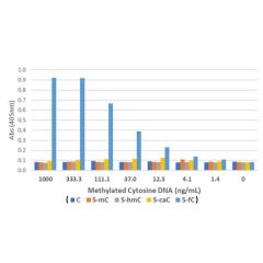 anti-5-Formylcytosines (5-fC), Rabbit Monoclonal (RM477)