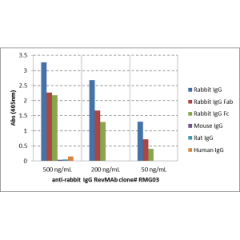 ELISA of IgGs from different species shows RMG03 reacts to rabbit IgG; no cross reactivity with human IgG, rat IgG, or mouse IgG. The plate was coated with 50ng/well of different IgG. 500 ng/mL, 200 ng/mL, or 50ng/mL of RMG03 was used as the primary antib