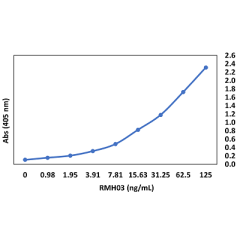 anti-SARS-CoV-2 Nucleocapsid Chimeric Human, Rabbit Monoclonal (RMH03)