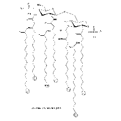 Lipid A from S. minnesota R595 (Re) TLRpure Sterile Solution