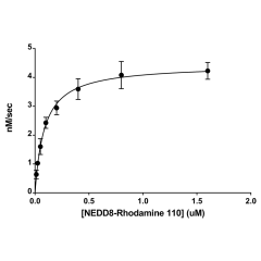 <b>Michaelis–Menten Kinetics:</b> NEDD8 Rhodamine 110 serially diluted from 1.6 to 0.0125µM was digested with 30pM NEDP1 over time. The assay was carried out in a reaction buffer of 50mM HEPES pH 7.5, 1mM TCEP, 0.1 mg/ml BSA, at 25°C. Initial velocities a