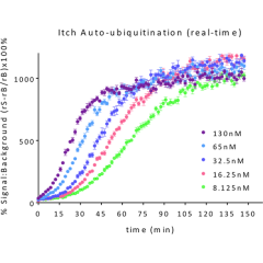 ITCH E3 Ligase TR-FRET Kit