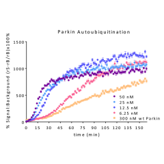 Parkin E3 Ligase TR-FRET Kit