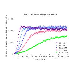 <b>% Signal to Background of Continuous Real-Time TR-FRET Parkin titration (autoubiquitination):</b> Serial dilutions of Parkin W403A from 50nM to 3.125nM and 300nM wt Parkin were mixed with UBA1, UBE2D3 and trf-Ub (pS65) mix. Reactions were initiated wit