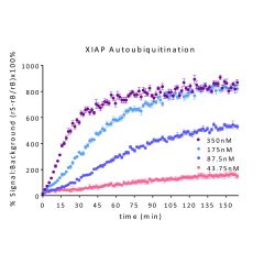 % Signal to Background of Continuous Real-Time TR-FRET NEDD4 titration (autoubiquitination): Serial dilutions of NEDD4 from 50nM to 3.125nM mixed with UBA1, UBE2L3, and, TRF-Ub mix. Reaction was initiated with addition of Mg-ATP.