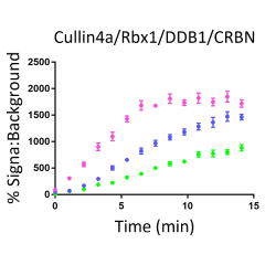 Cullin4a/Rbx1/DDB1/CRBN E3 Ligase Complex TR-FRET Kit