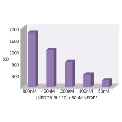 <b>Signal to Background:</b> The signal to background ratio was determined by 100% hydrolysis of 800nM, 400nM, 200nM, 100nM, 50nM NEDD8-Rhodamine 110 to liberate the quenched conjugate. Assay Buffer: 50mM HEPES pH7.5, 1mM TCEP, 0.1mg/ml BSA.