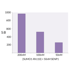 <b>Signal to Background:</b> The signal to background ratio was determined by 100% hydrolysis of 200nM, 100nM, 50nM SUMO1-Rhodamine 110 to liberate the quenched conjugate. Assay Buffer: 50mM HEPES pH 7.5, 1mM TCEP, 0.1mg/ml BSA.