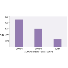 <b>Signal to Background:</b> The signal to background ratio was determined by 100% hydrolysis of 200nM, 100nM, 50nM SUMO2-Rhodamine 110 to liberate the quenched conjugate. Assay Buffer: 50mM HEPES pH 7.5, 1mM TCEP, 0.1mg/ml BSA.