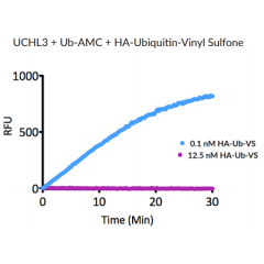 HA-Ubiquitin-vinyl sulfone (human) (rec.) (HA)