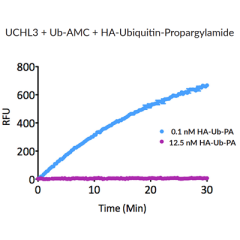 HA-Ubiquitin-propargylamide (human) (rec.) (HA)