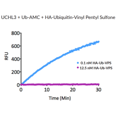 HA-Ubiquitin-vinyl pentyl sulfone (human) (rec.) (HA)