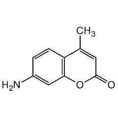 AMC Standard Solution