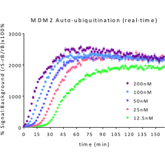 <b>% Signal to Background of Continuous Real-Time TR-FRET E3 Ligase titration (autoubiquitination):</b> An example using serial dilutions of GST-MDM2 from 200nM to 12.5nM mixed with UBA1, UBE2D3 and trf-Ub mix. Reaction was initiated with addition of Mg-A