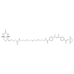 ChromaLink Biotin (DMF Soluble)