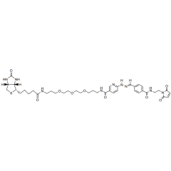 ChromaLink Biotin Maleimide