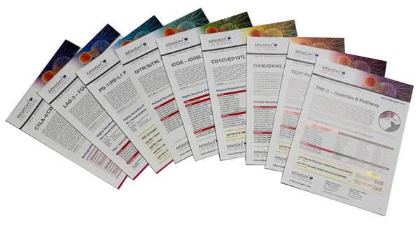 Immunecheckpoint-Flyers-2025-600px.png