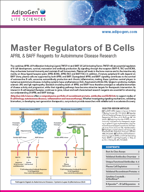 Master_Regulators_of_B_Cells.png