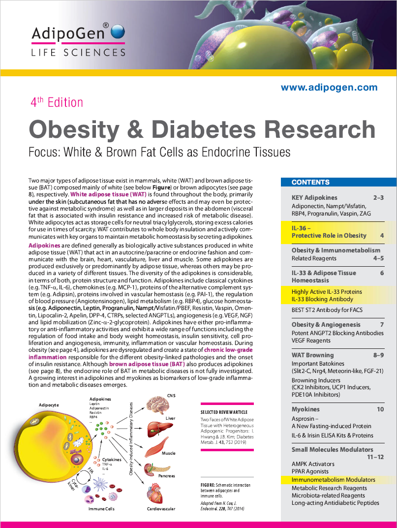 Obesity & Diabetes Brochure 2020