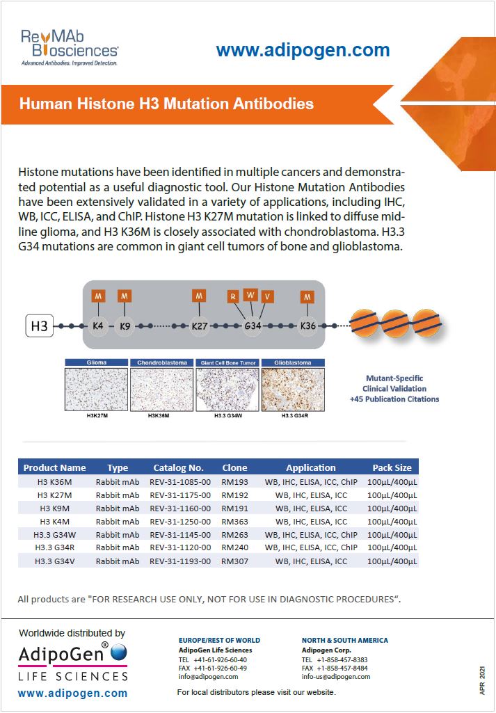 RevMab Biosciences - H3 Histone Mutations Abs