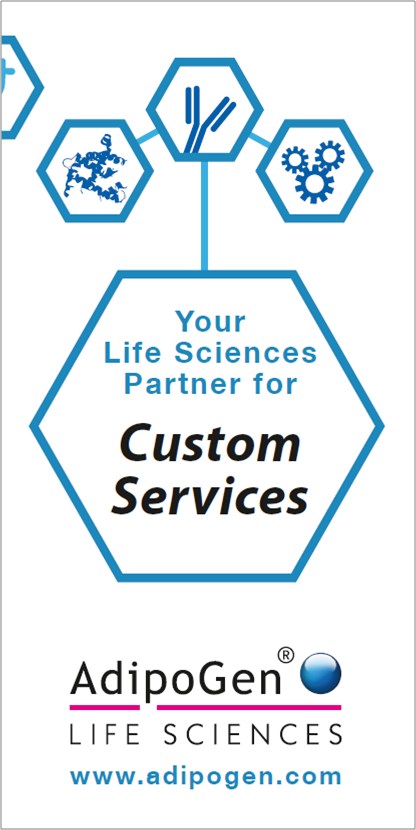 Custom Services Flyer