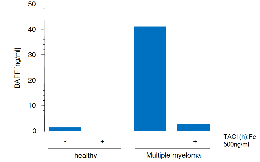 BAFF (human) ELISA Kit