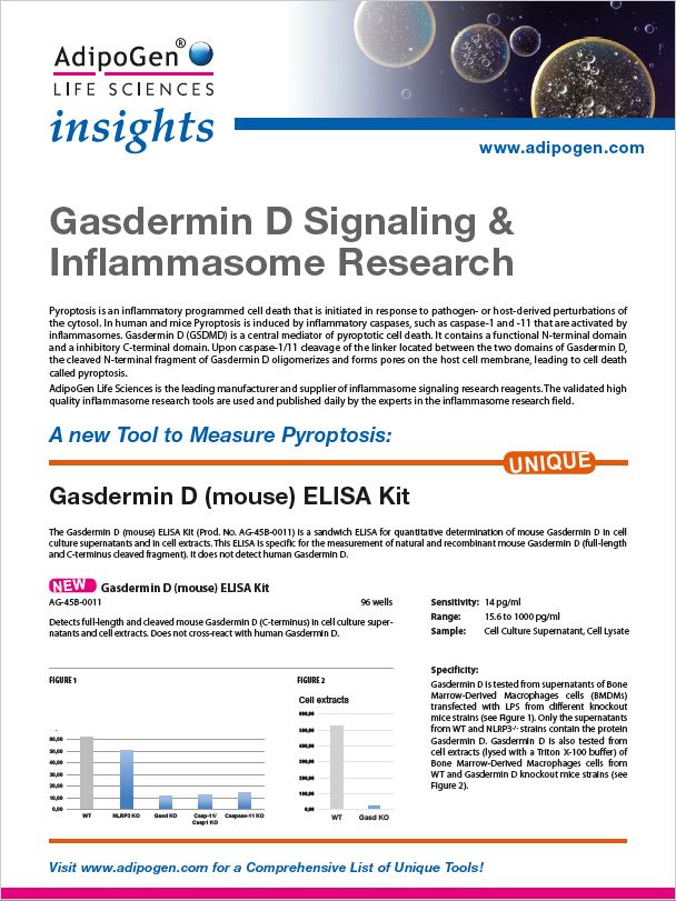 Gasdermin Insights 2019