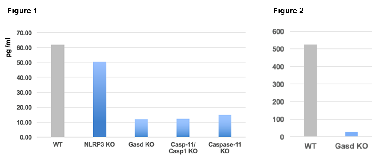 Gasdermin D (mouse) ELISA Kit