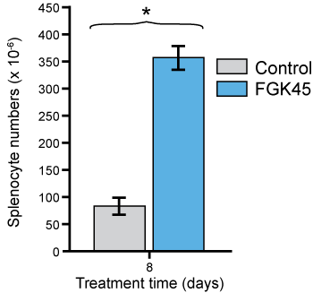 anti-CD40 (mouse), mAb (FGK45)