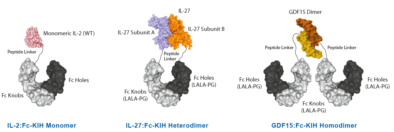 InVivoKines Selected Structures