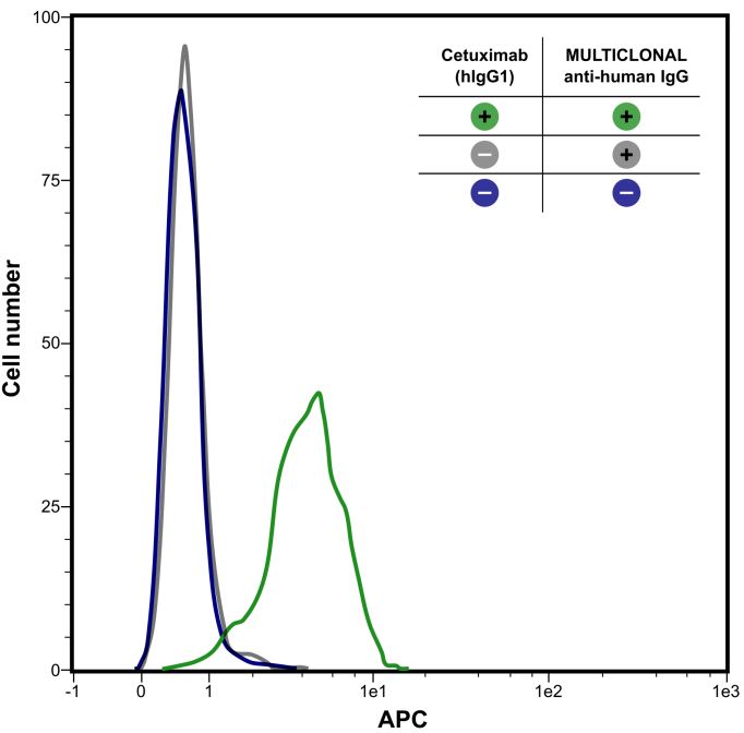 Multiclonal Flow