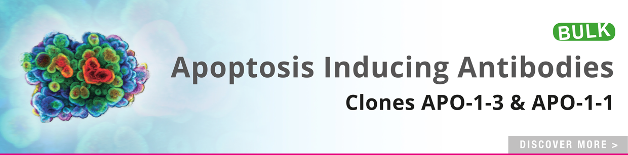 APO-1 Apoptosis Inducing Antibodies