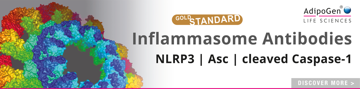 Inflammasome Antibodies