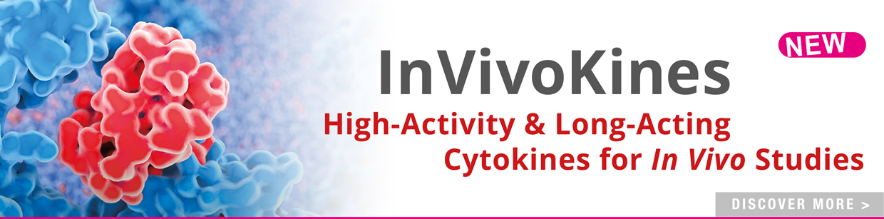 InVivoKines Adipogen_Webseite_Banner_2025_1240-x-307-px_InVivoKines-NEW.png