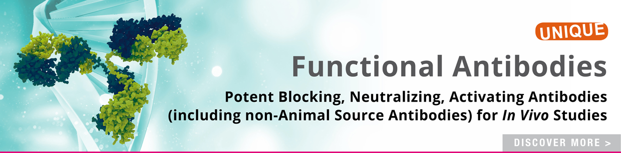 Functional Antibodies 2019