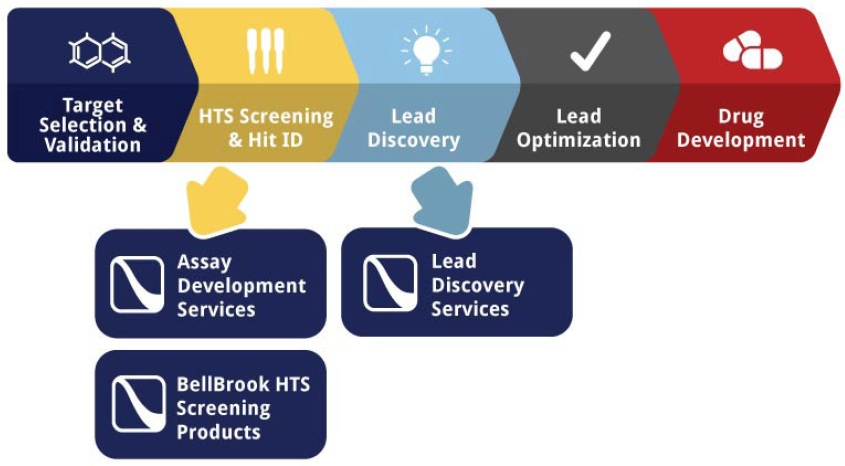 Drug Discovery Process