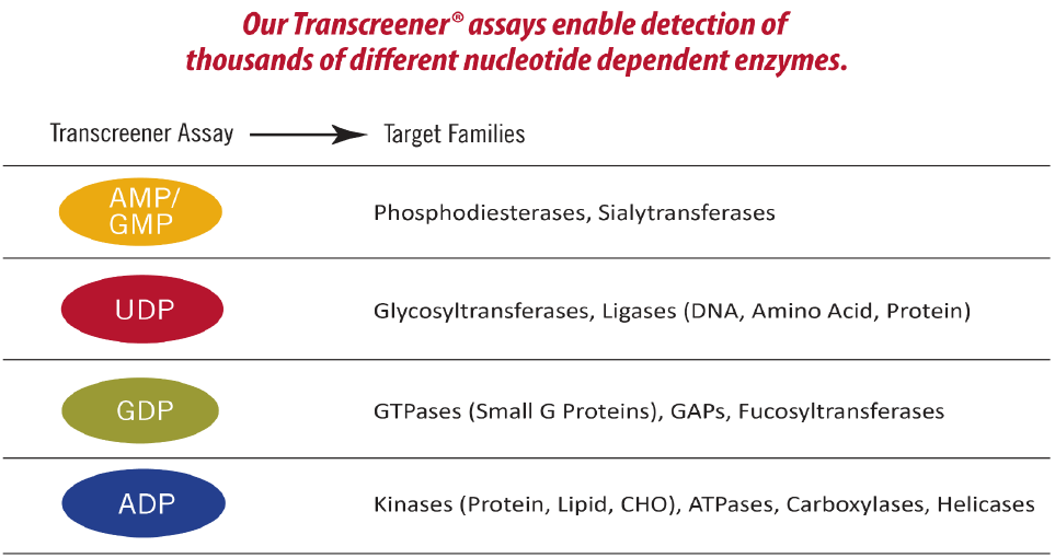 Transcreener Enzyme Families