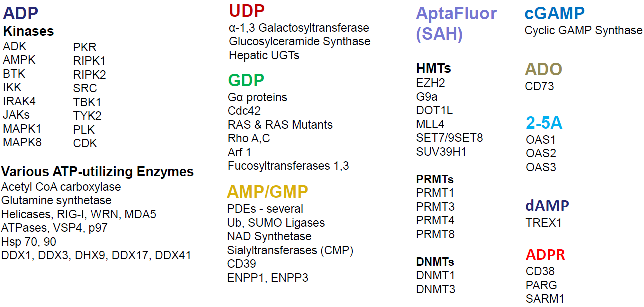 Transcreener Validated Targets