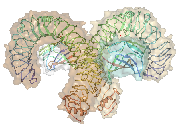 TLR4-MD2 Complex