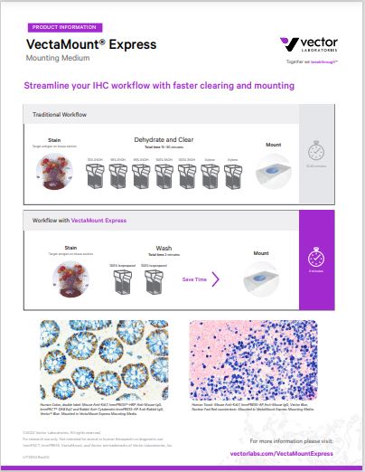 VectaMount Workflow