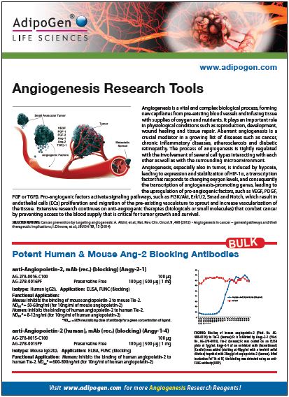 Angiogenesis Research Flyer 2015