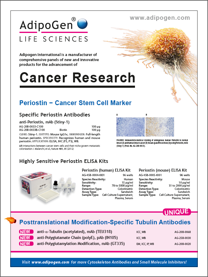 Cancer Research Flyer 2015